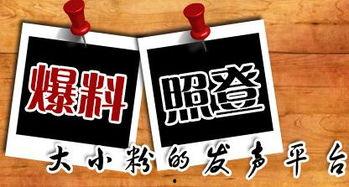 茶山新闻最新爆料,最新爆料引发热议